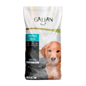 GALIAN PUPPIES