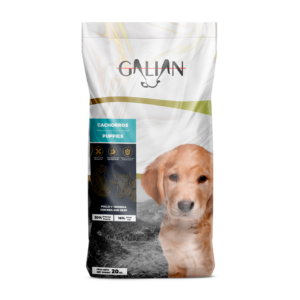 GALIAN PUPPIES