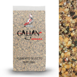 MIXTURA MANTENIMIENTO N2 PALOMOS DEPORTIVOS GALIAN