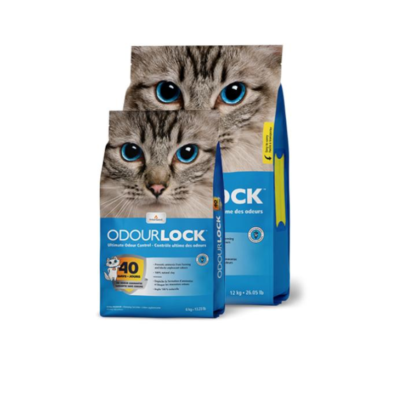 ARENA ODOURLOCK ORIGINAL